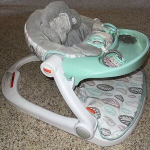 Fisher-Price Snugamonkey Sit Me Up Floor Seat - Mint and Gray